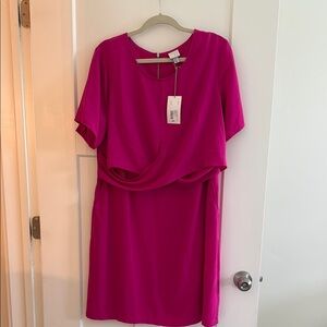 Elegant Pink Women's Dress